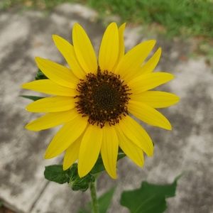 Meet your Posher, Dania